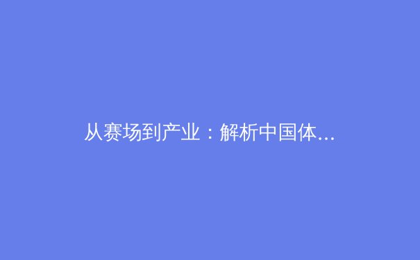 从赛场到产业：解析中国体育产业的黄金十年与未来挑战 - 2